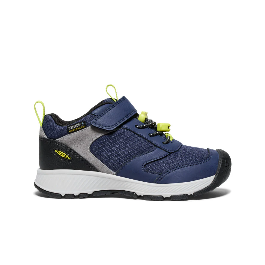Miniatuur 1